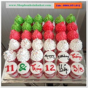 Bánh Sinh Nhật Cupcake - CUP09